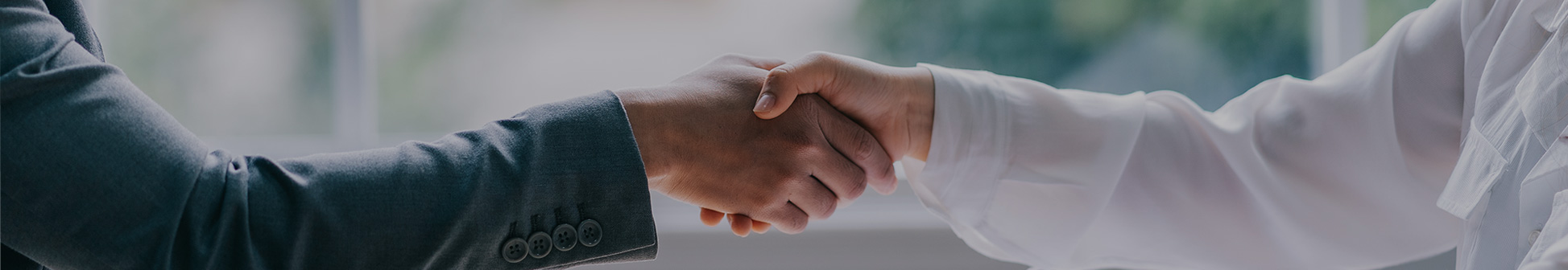 三次元データによる支障木の可視化